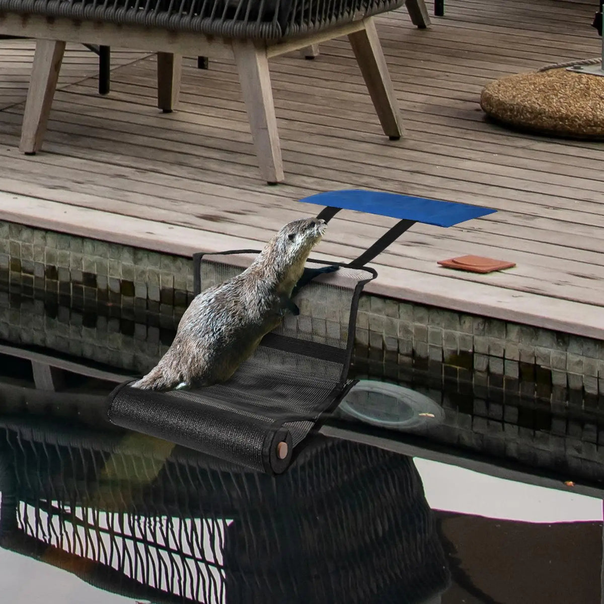 Pool Animal Escape Ramp – Critter Safety Rescue Net Pool Safety Ramp Axl