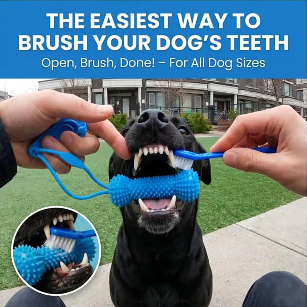 Dog Dental Chew Toy – Dual-Action Teeth Cleaning Puppy Teether Dog Dental Chew Toy Axl