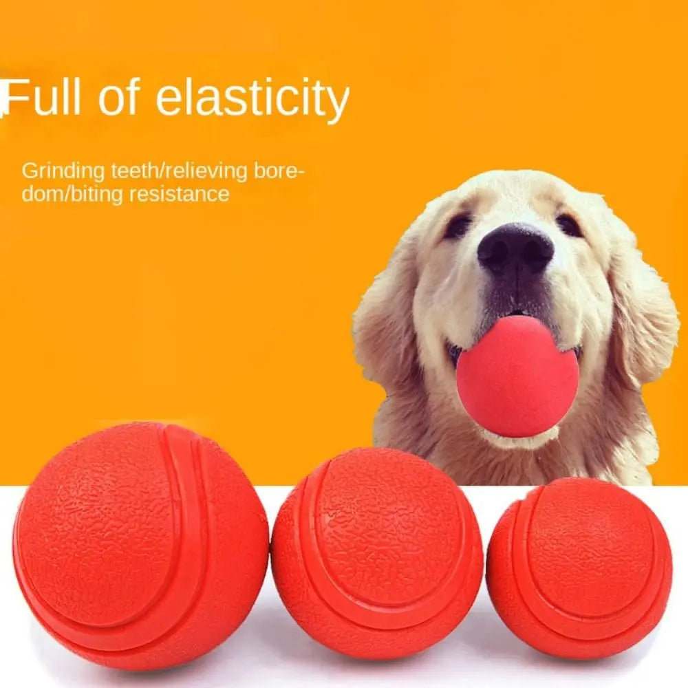 Pet Rubber Chew Ball – Dog Training Bouncy Molar Toy Dog Chew Toy Axl