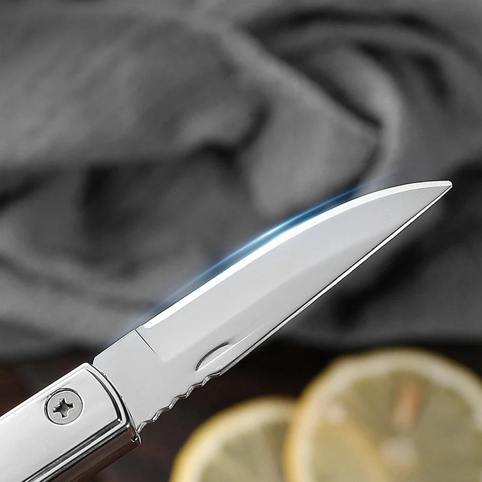 Stainless Steel Folding Camping Knife – Portable Pocket Knife Folding Camping Knife Axl