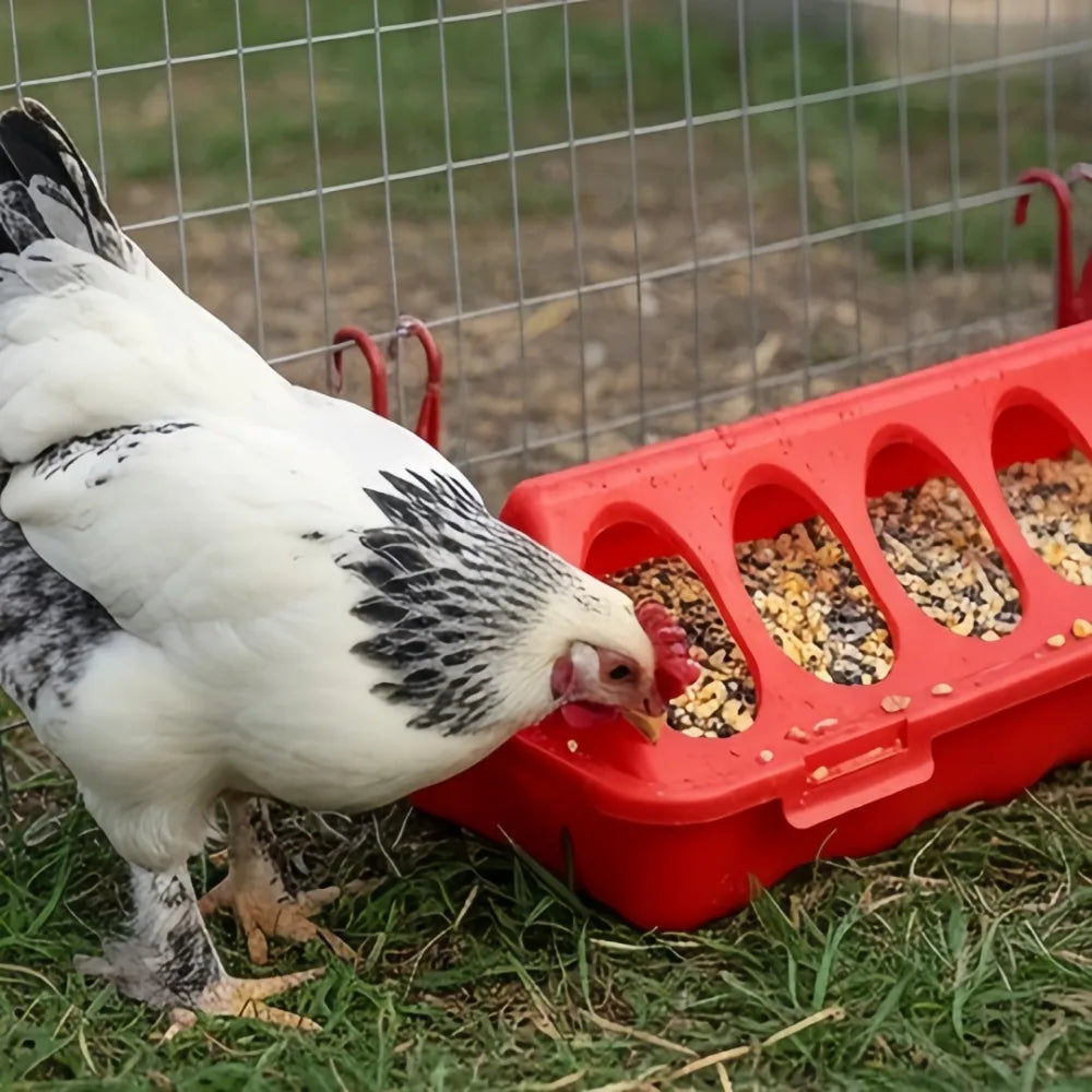 12/18 Hole Double Row Plastic Poultry Ground Feeder – Chickens Poultry Ground Feeder Axl