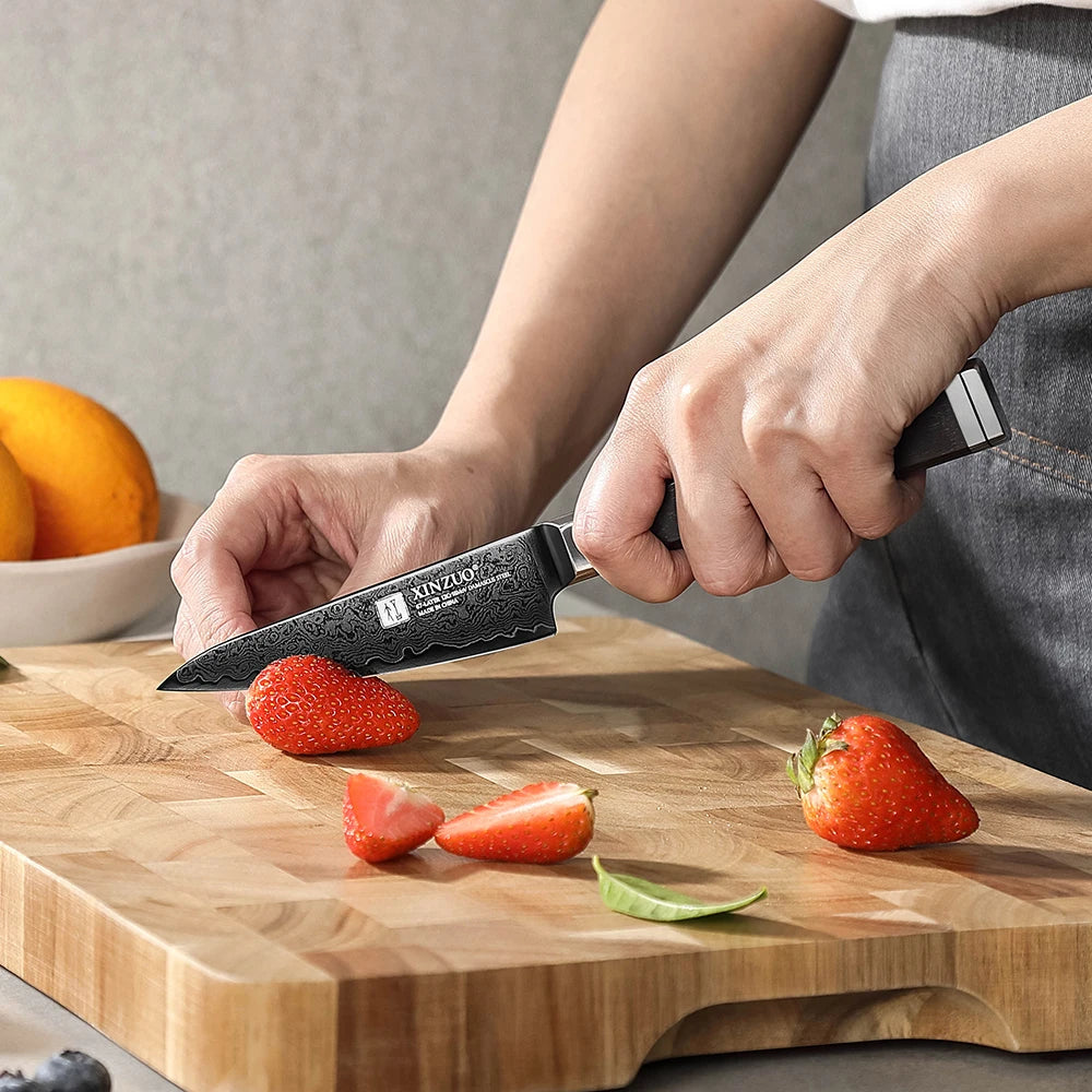 XINZUO 67-Layer Damascus Steel Paring Knife – Ebony Handle Damascus Paring Knife Axl