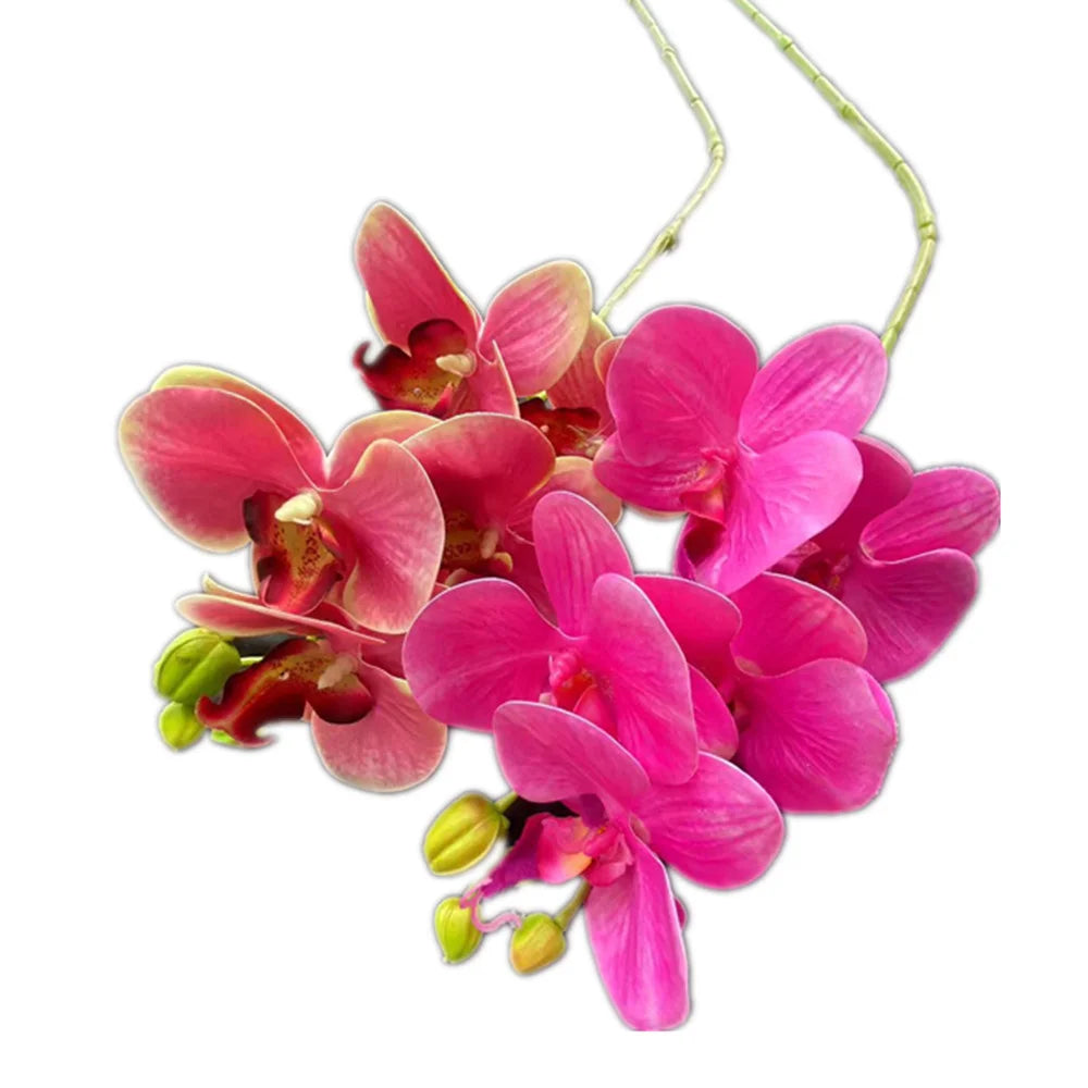 5-Head Real Touch Artificial Phalaenopsis Orchid Branch | 68cm Artificial Flower Branch Axl