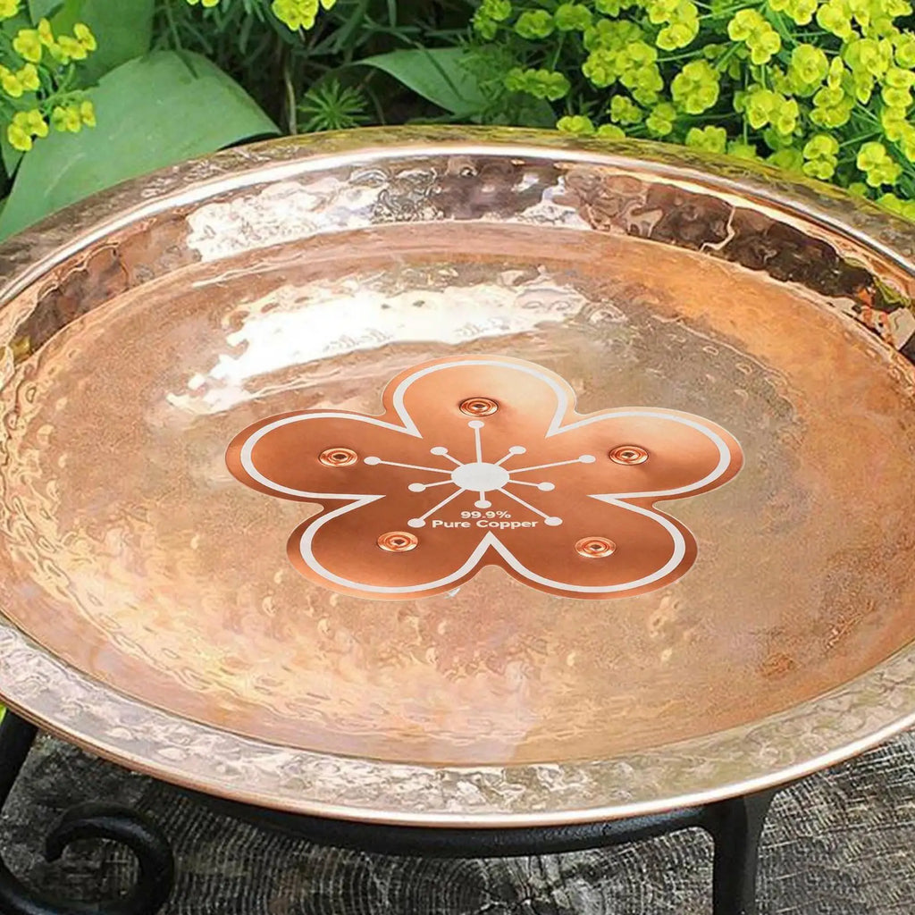 Copper Bird Bath Purifier Disk – Natural Ion Water Cleaner Bird Bath Accessory Axl