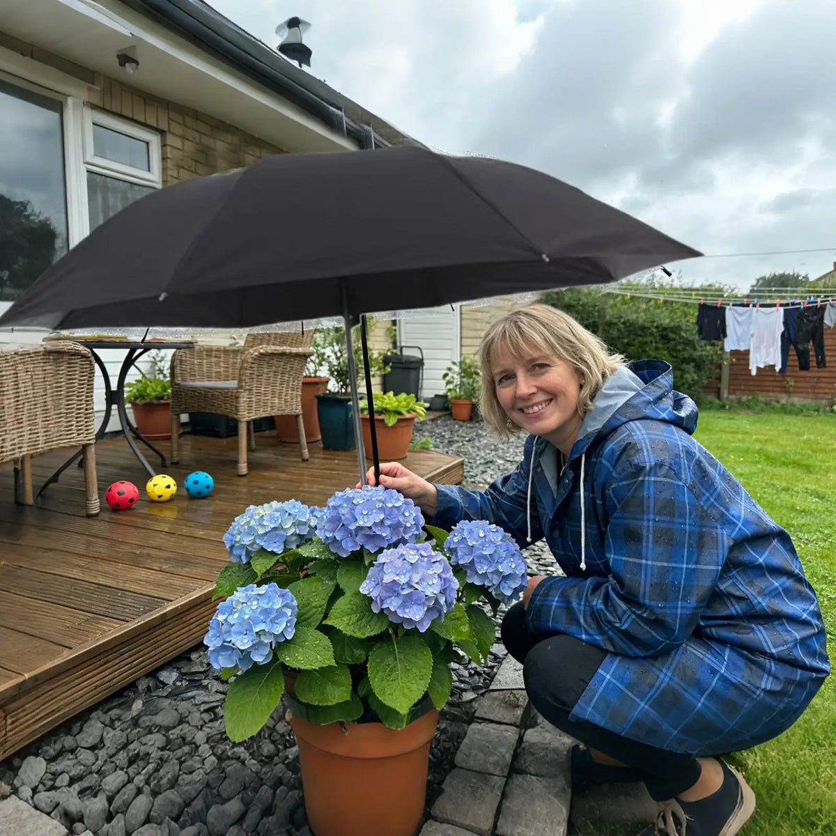 Plant Umbrella – UV Sun & Rain Protection for Garden Plants Garden Plant Umbrella Axl