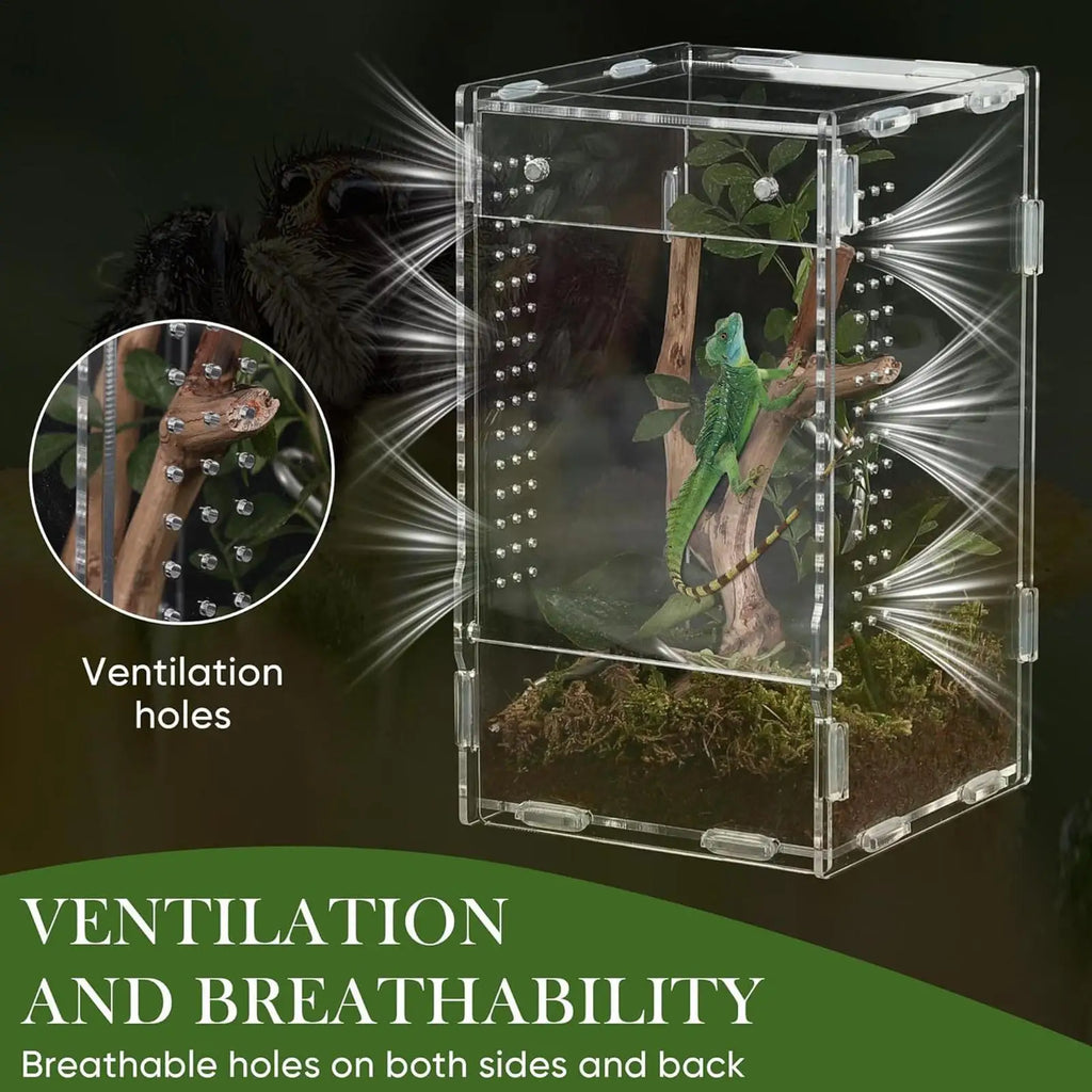 Acrylic Jumping Spider Enclosure – Escape-Proof Ventilated Tank Spider Enclosure Axl