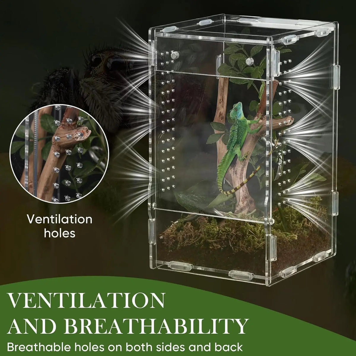 Acrylic Jumping Spider Enclosure – Escape-Proof Ventilated Tank Spider Enclosure Axl