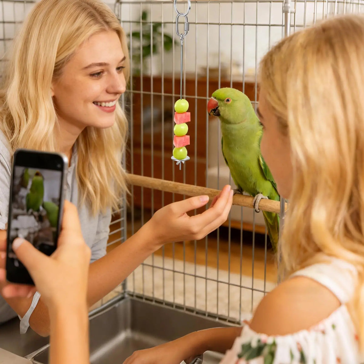 Stainless Steel Bird Cage Food Skewer – Fruit & Veggie Holder Bird Cage Feeder Axl