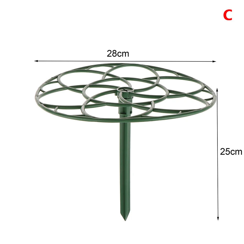 Stackable Plant Climbing Frame – Bonsai & Vine Support Cage Plant Support Frame Axl C