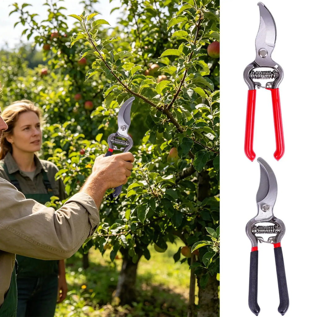 Garden Pruner Shears – Secateurs for Bonsai & Fruit Trees Pruning Shears Axl