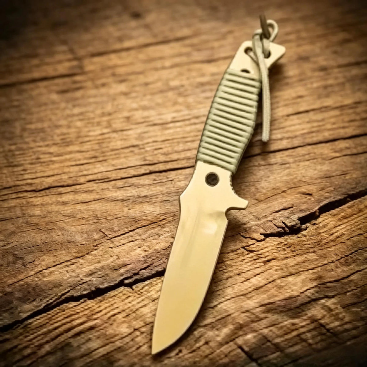9Cr18MoV Steel Outdoor Fixed Blade Knife with Paracord Fixed Blade Knife Axl TWG-AK88-G