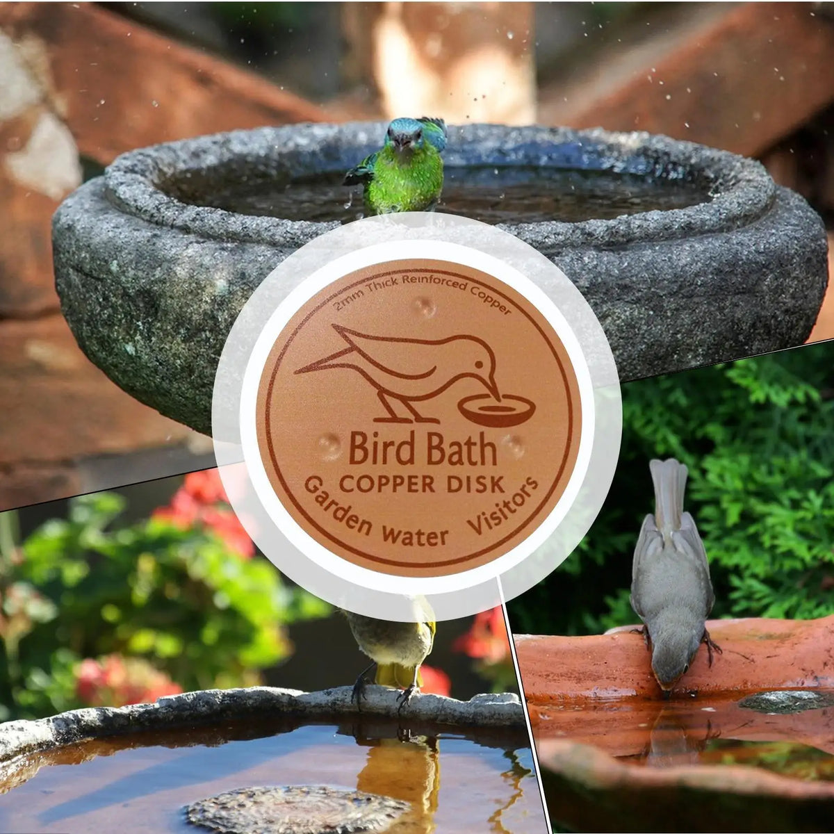 Copper Bird Bath Purification Disk – Natural Water Clarifier Bird Bath Accessory Axl