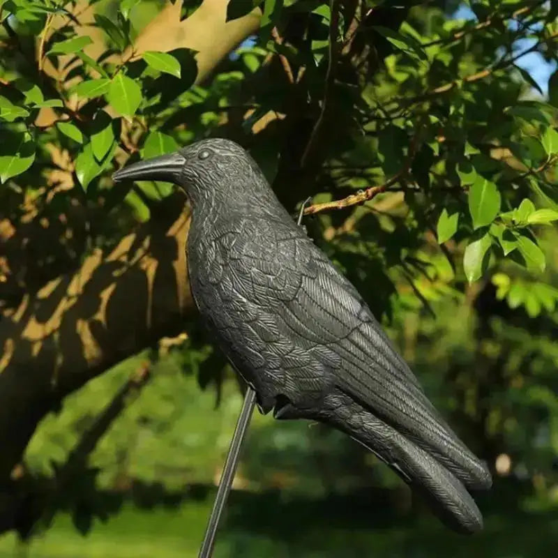 Realistic Black Crow Decoy Statue – Garden Bird Deterrent Garden Bird Decoy Axl