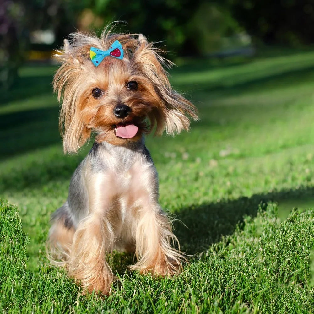 10-Pack Cute Puppy Bow Hair Accessories for Dogs & Cats Pet Grooming Bows Axl