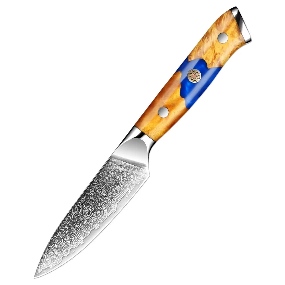 XITUO Damascus Steel Knife Set | Japanese VG10 1–8 PCS Damascus Kitchen Knife Set Axl Paring knife