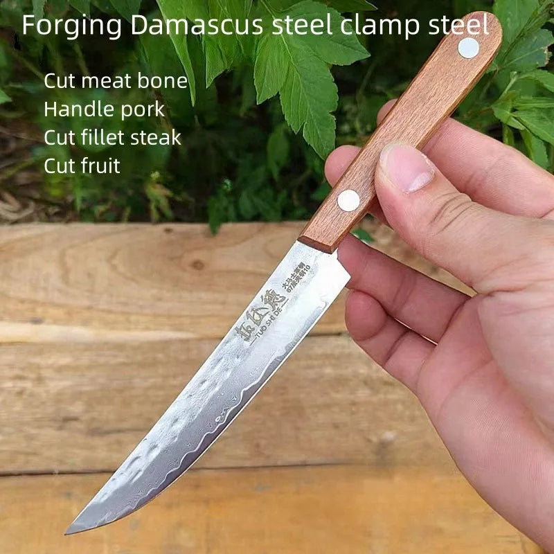 67-Ply Damascus Steel Steak & Boning Knife – Wood Handle Damascus Kitchen Knife Axl