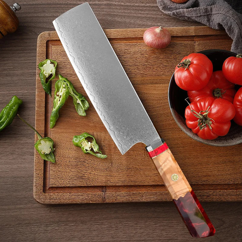 VG10 Damascus Steel Gyuto Chef Knife – Japanese Kitchen Knife Damascus Chef Knife Axl