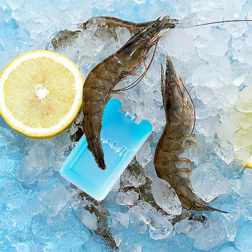 Reusable Ice Freezer Packs – Leakproof Cooler Blocks 2-Pack Ice Freezer Pack Axl