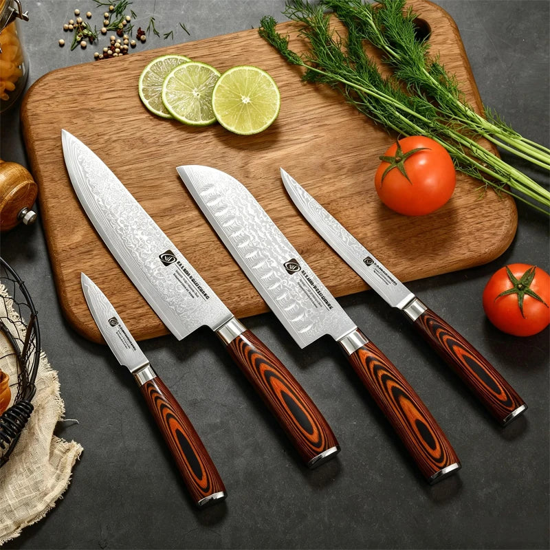4-Pc 67-Layer Damascus Chef Knife Set – Santoku & Utility Damascus Knife Set Axl