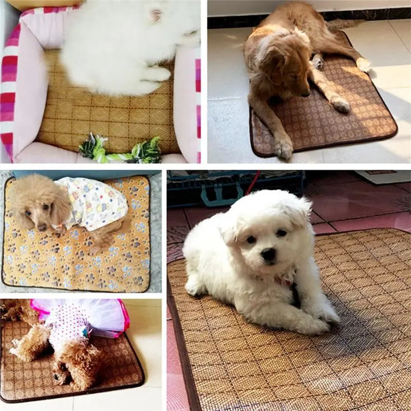 Pet Cooling Mat – Breathable Summer Pad for Dogs & Cats Pet Cooling Mat Axl