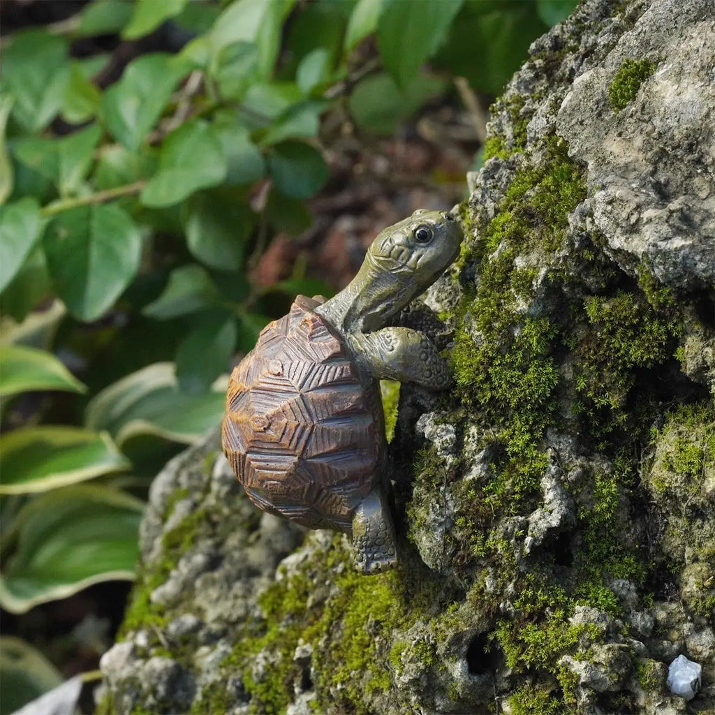 Resin Turtle Figurines – Pot, Vase & Fish Tank Ornaments Resin Garden Figurine Axl