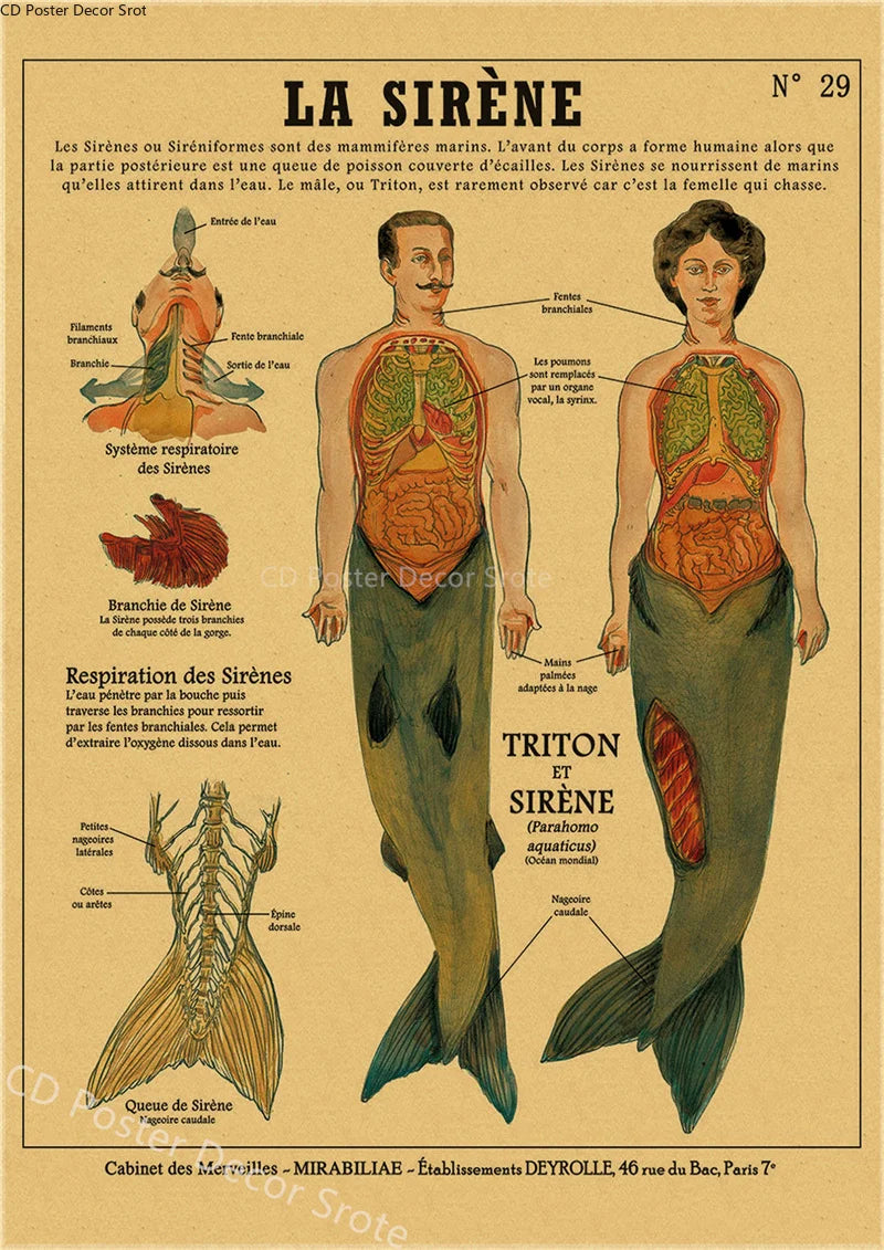 Curious Creatures Retro Kraft Paper Poster | Vintage Wall Art Vintage Wall Poster Axl