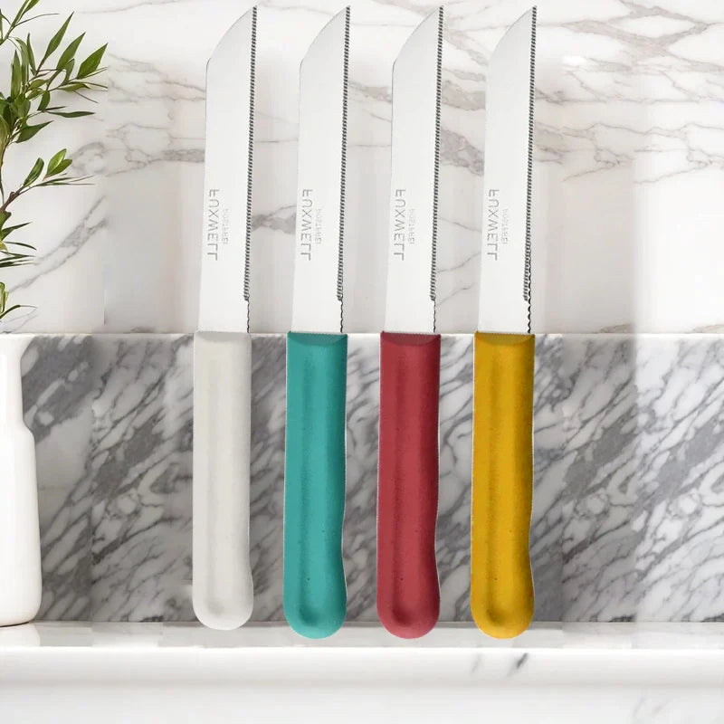 12-Piece Stainless Steel Steak & Fruit Knife Set Kitchen Knife Set Axl
