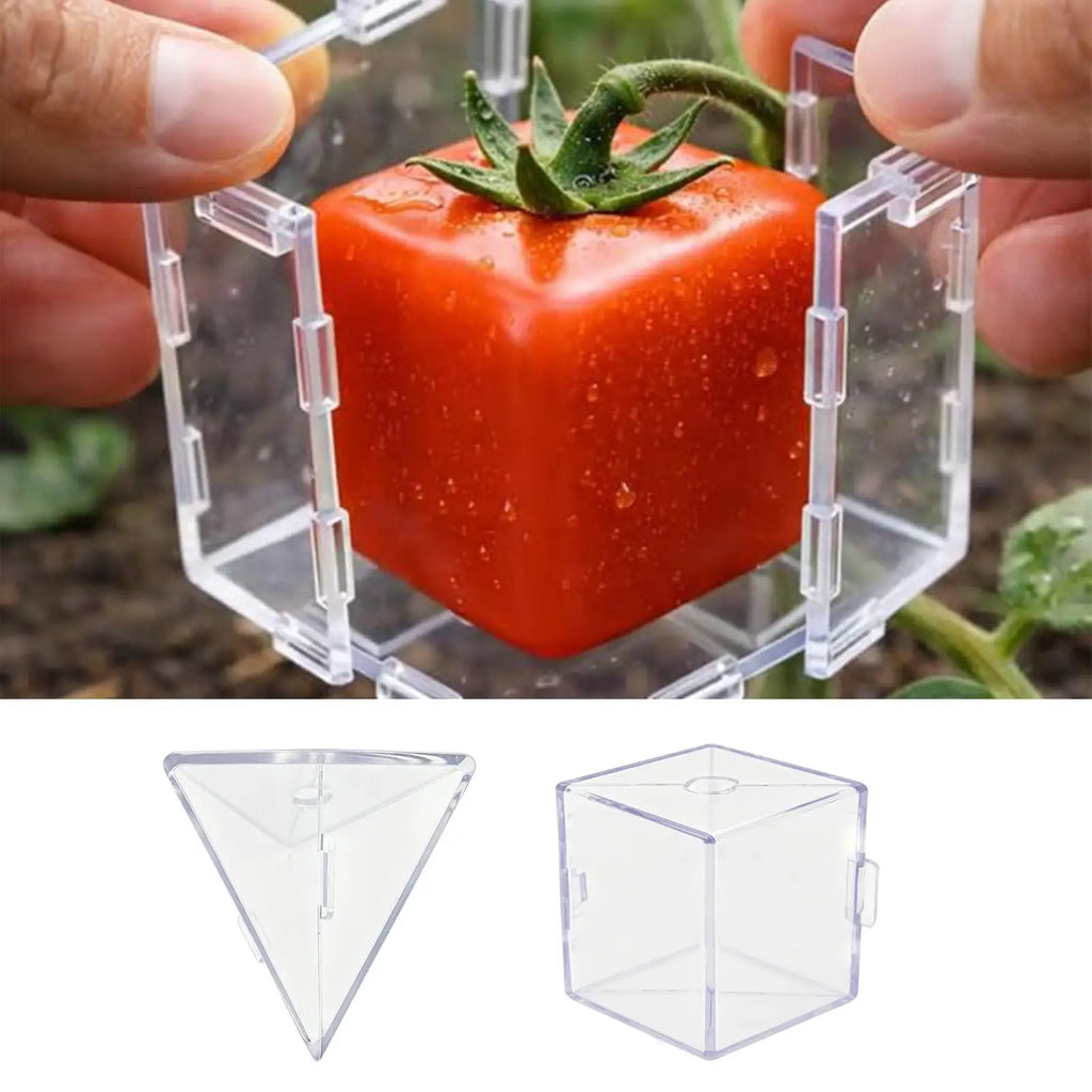 Transparent Fruit Shaping Molds – Reusable Vegetable Grow Molds Fruit Shaping Mold Axl