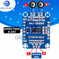 TPA3110 2×15W Class D Stereo Amplifier Module DC 12V–24V Amplifier Module Board Axl Default Title