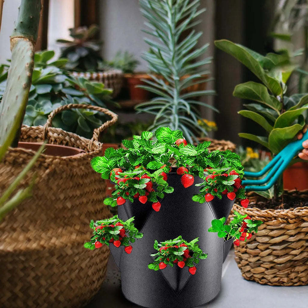 7 Gallon Strawberry Grow Bag with 6 Side Pockets | Fabric Planter Fabric Grow Bag Axl