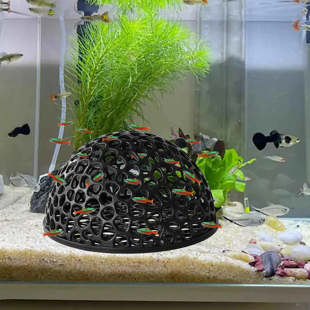Aquarium Shrimp Cave – Betta & Shrimp Hideout Fish Tank Decor Aquarium Ornament Axl