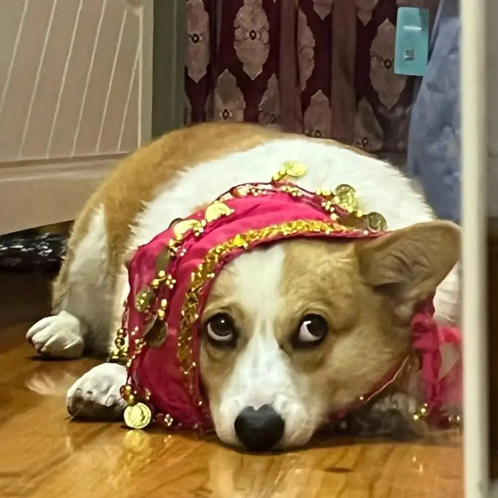 Dog Belly Dance Hip Scarf – Sequin Costume for Corgis & Pets Pet Costume Accessory Axl