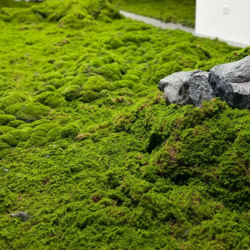 Artificial Moss Mat – Faux Lawn for Bonsai & Micro Landscape Artificial Moss Mat Axl