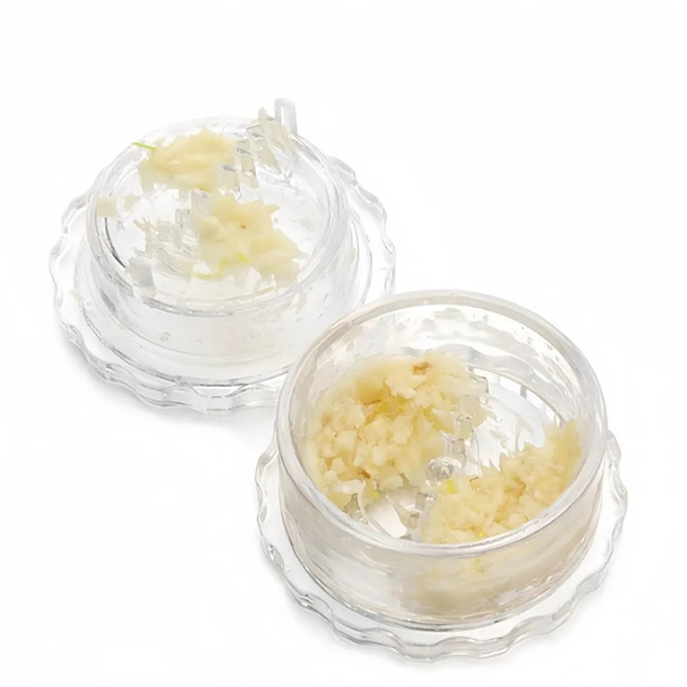 2-Pc Manual Garlic Grinder Twisting Press – Kitchen Gadget Garlic Press Axl