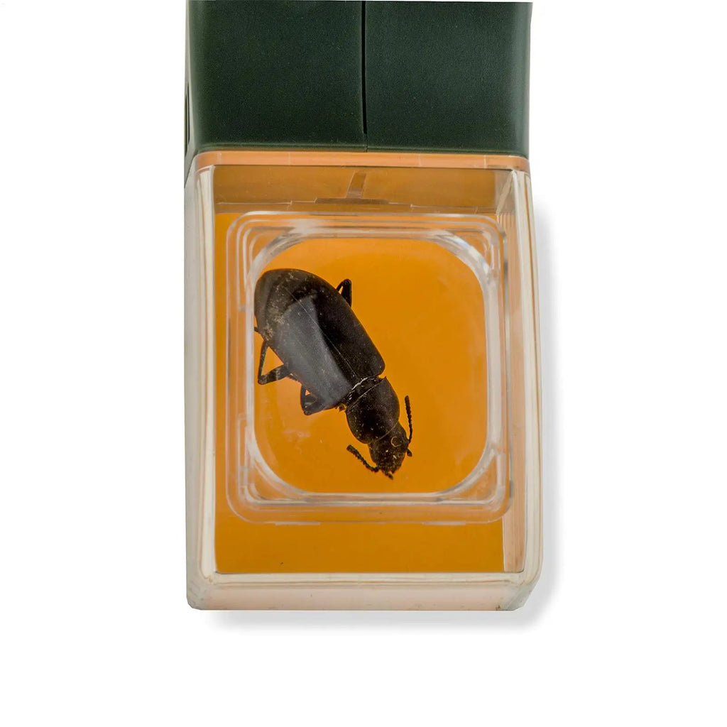 Kids 5X Magnifying Bug Catcher – Quick-Release Exploration Tool Bug Catcher Toy Axl