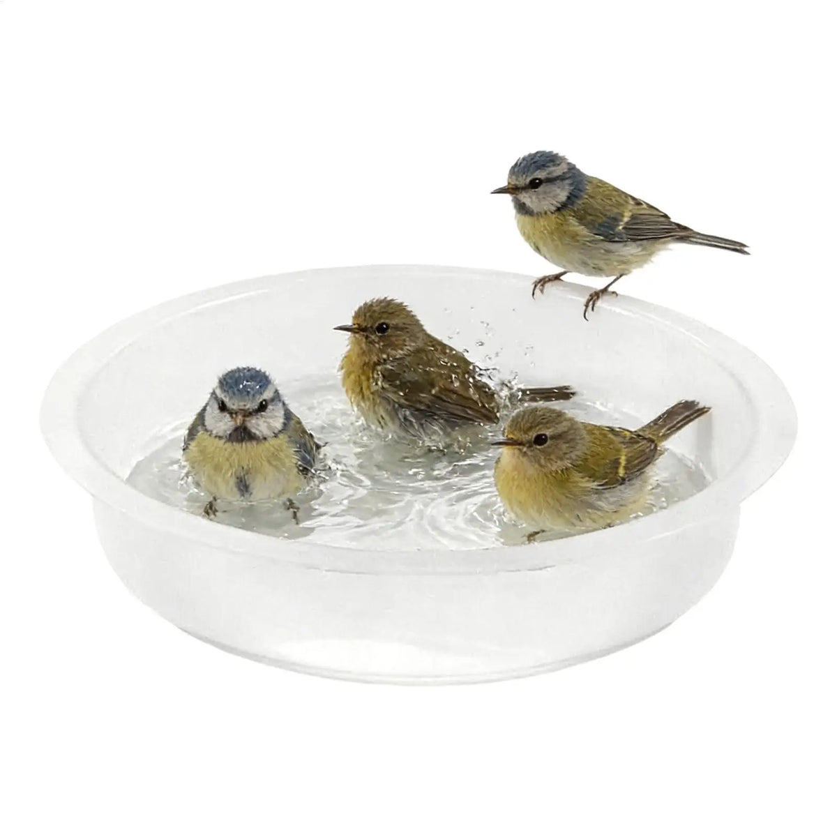 Flat Bird Feeder Tray – Round Outdoor Feeding & Water Bowl Bird Feeder Tray Axl