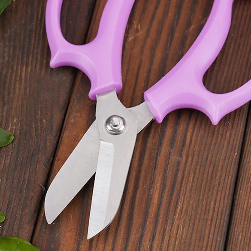 Professional Garden Pruning Shears – Flower & Fruit Scissors Garden Pruning Shears Axl
