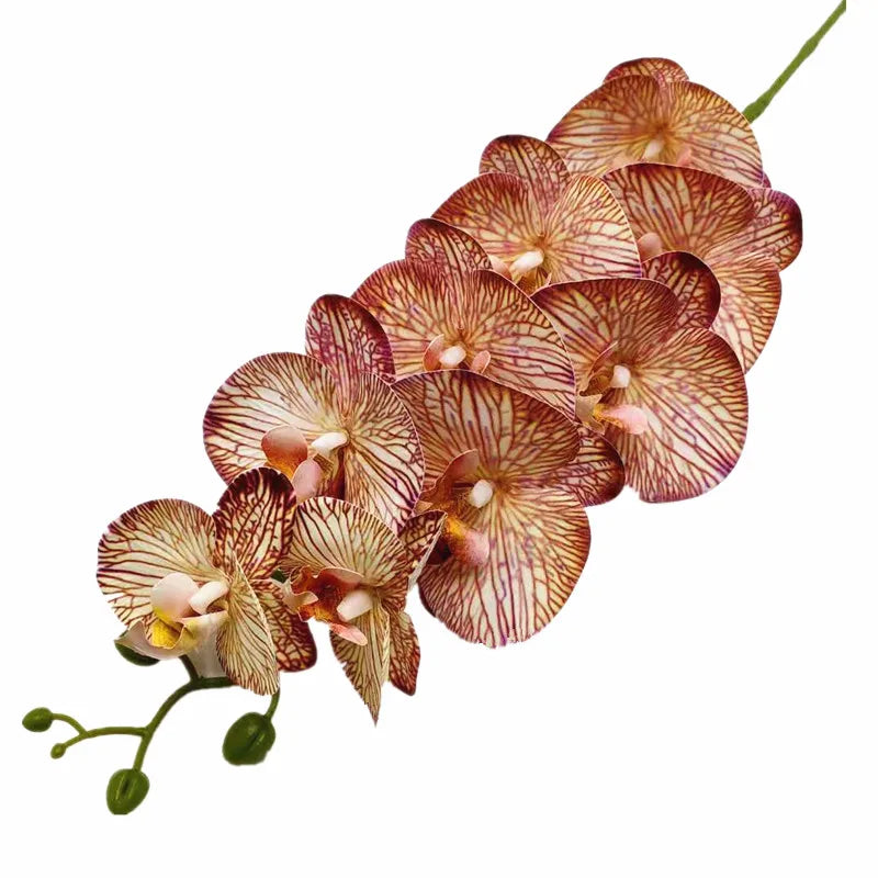 Real Touch Artificial Orchid – 9 Heads Phalaenopsis Stem 91cm Artificial Flower Stem Axl coffee