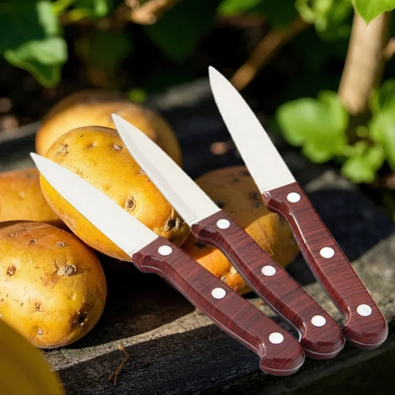 Professional Stainless Steel Paring & Kitchen Knife Set Kitchen Knife Axl