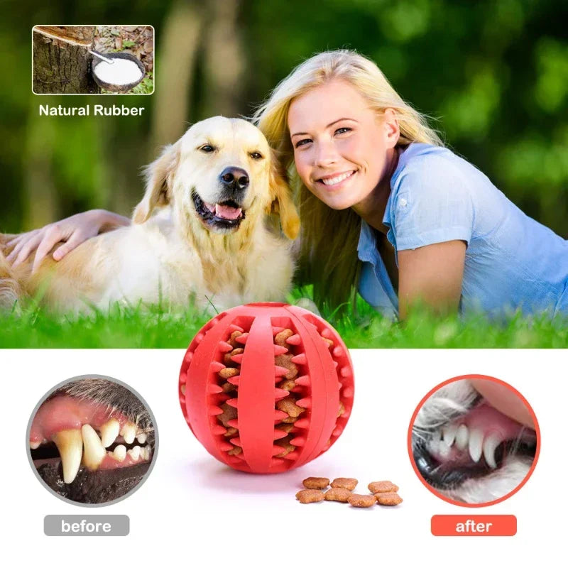 Silicone Dog Chew Ball – Interactive Puppy Teething Toy Dog Chew Toy Axl