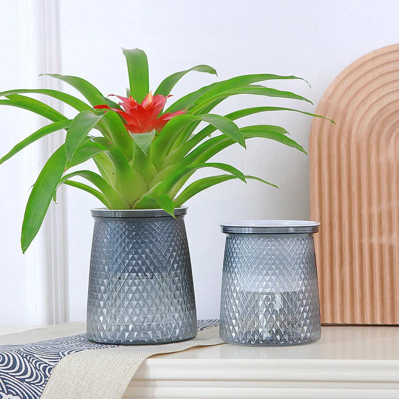 Self-Watering Transparent Planter – Hydroponic Flower Pot Self-Watering Planter Axl