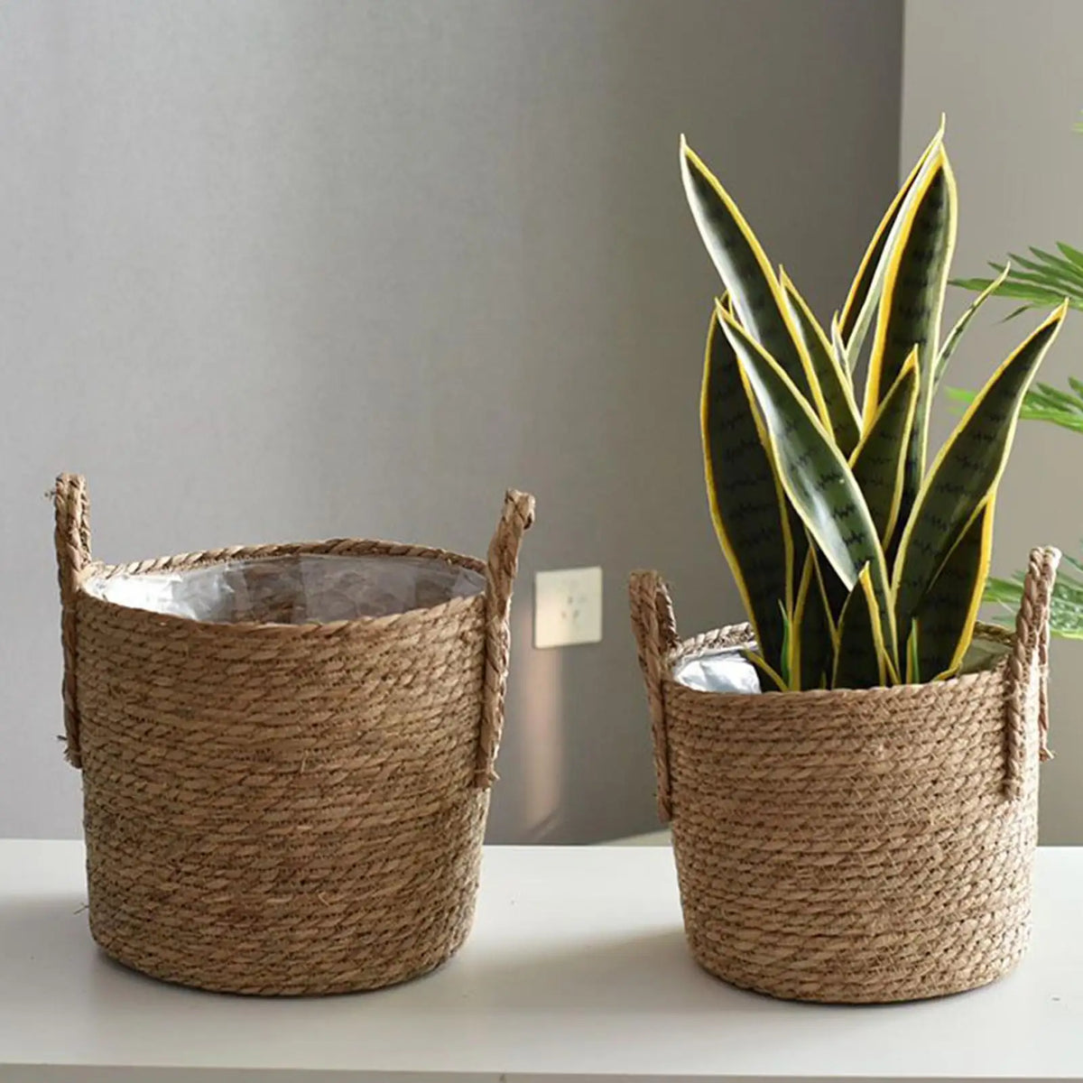 Wicker Straw Plant Basket with Handle – Indoor & Outdoor Wicker Plant Basket Axl