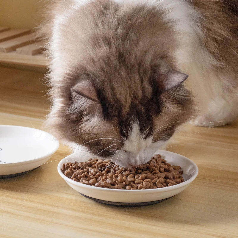 Ceramic Cat Food Bowl with Anti-Slip Silicone Pad Cat Food Bowl Axl