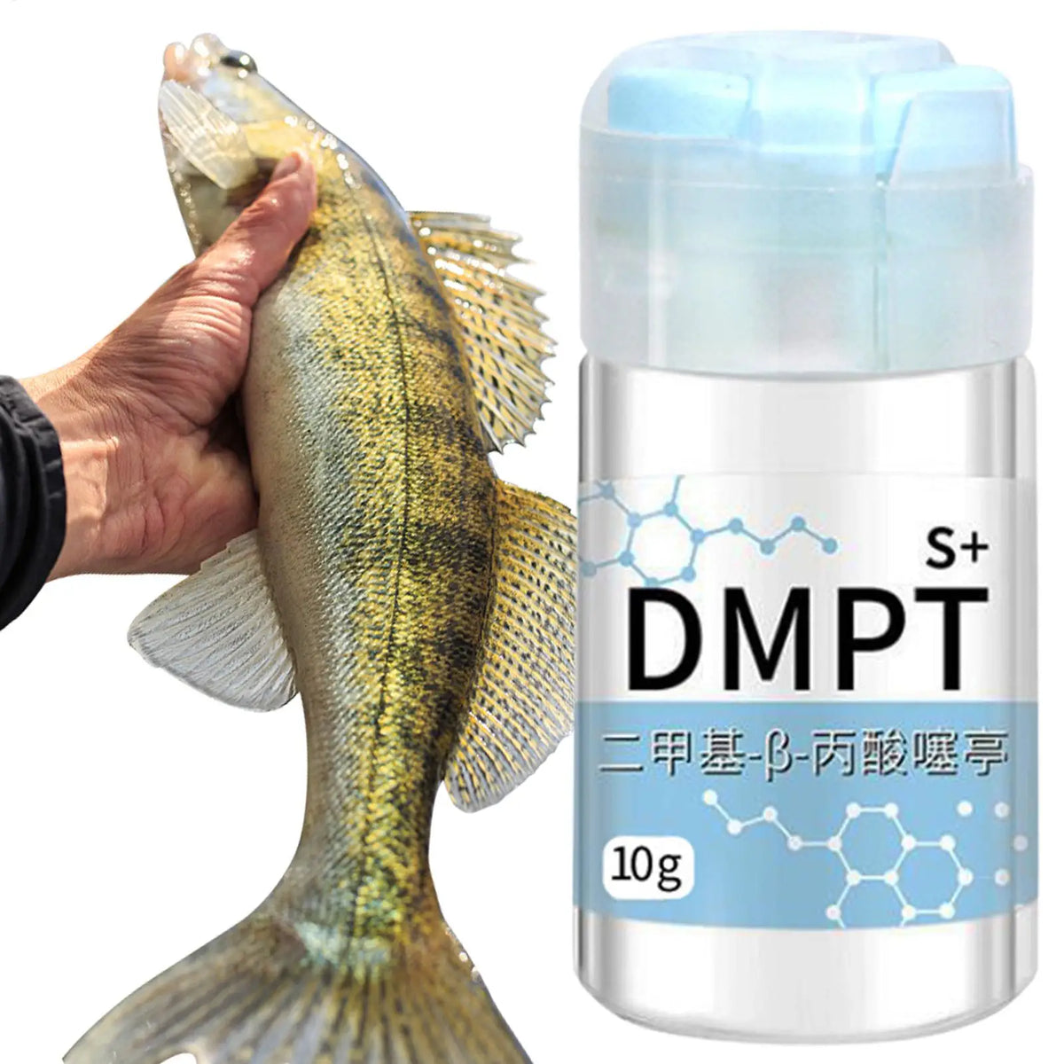 DMPT Fish Attractant Gel – Water-Soluble Bait Additive Powder Fishing Bait Additive Axl