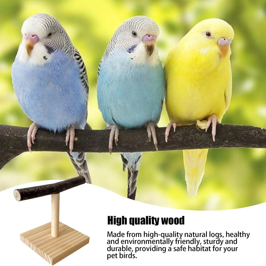 Natural Wood Parrot T Perch Stand – Bird Desktop Toy Bird Perch Stand Axl