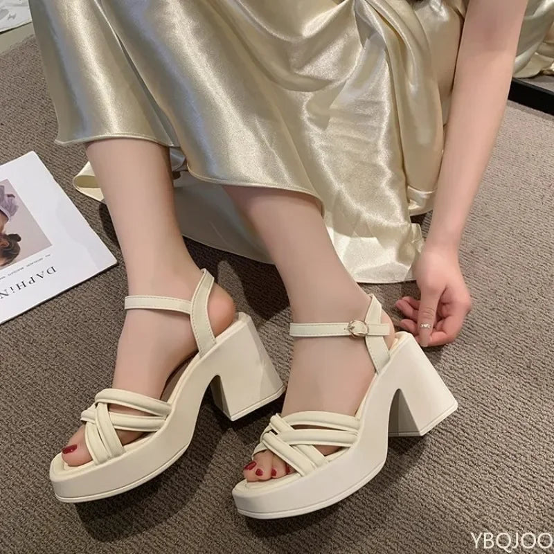 Women's Peep Toe Block Heel Buckle Sandals – Platform Style Block Heel Sandals Axl