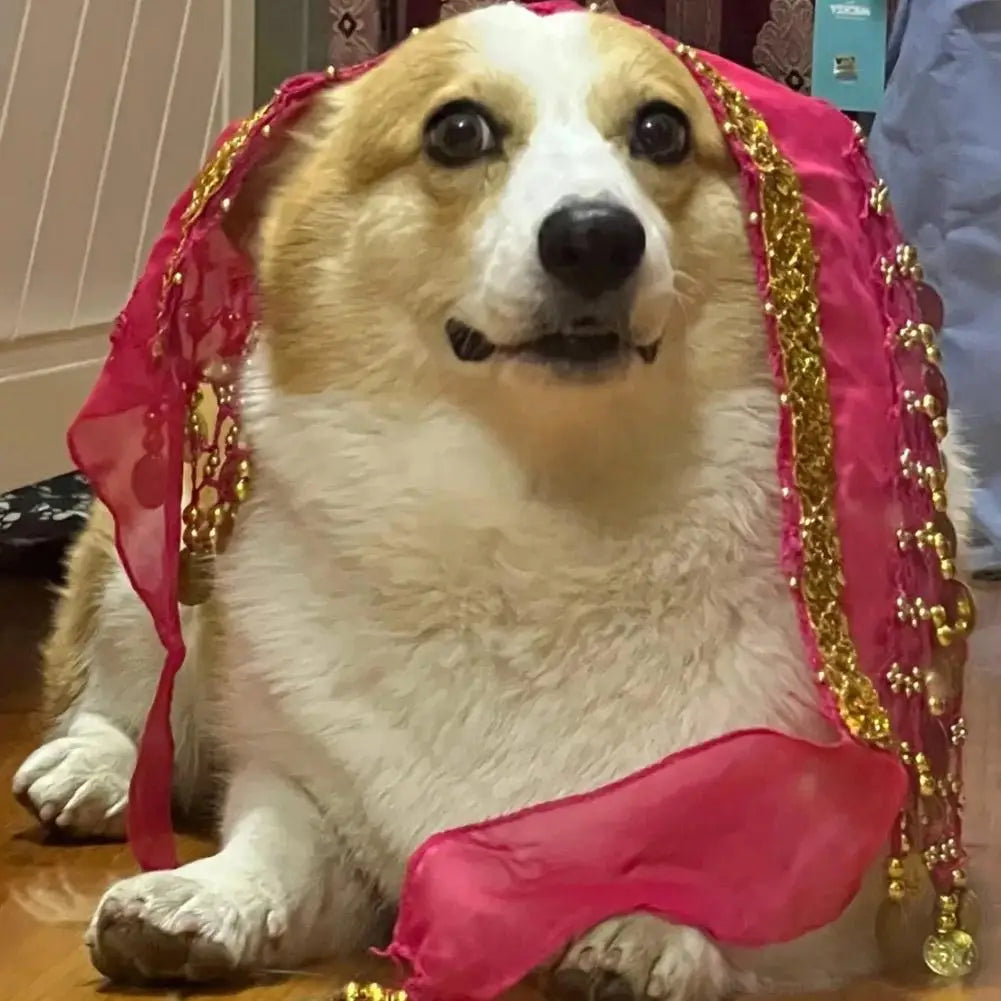 Dog Belly Dance Hip Scarf – Sequin Costume for Corgis & Pets Pet Costume Accessory Axl