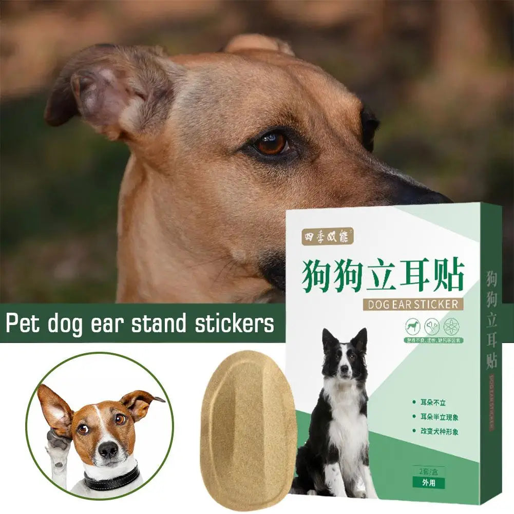 Dog Ear Stand Up Stickers – 2pc Set for Large & Small Dogs Dog Ear Stickers Axl