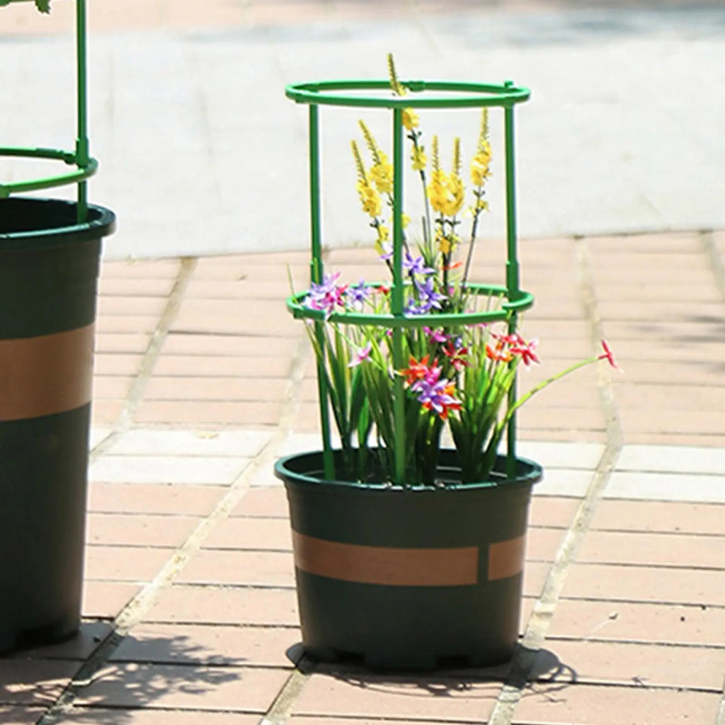 Semicircle Plant Support Cage for Tomato, Vine & Flowers Plant Support Cage Axl