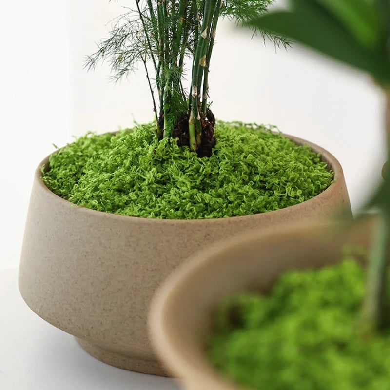 Artificial Moss Turf – Fake Plant for Bonsai & Micro Landscape Artificial Moss Decor Axl